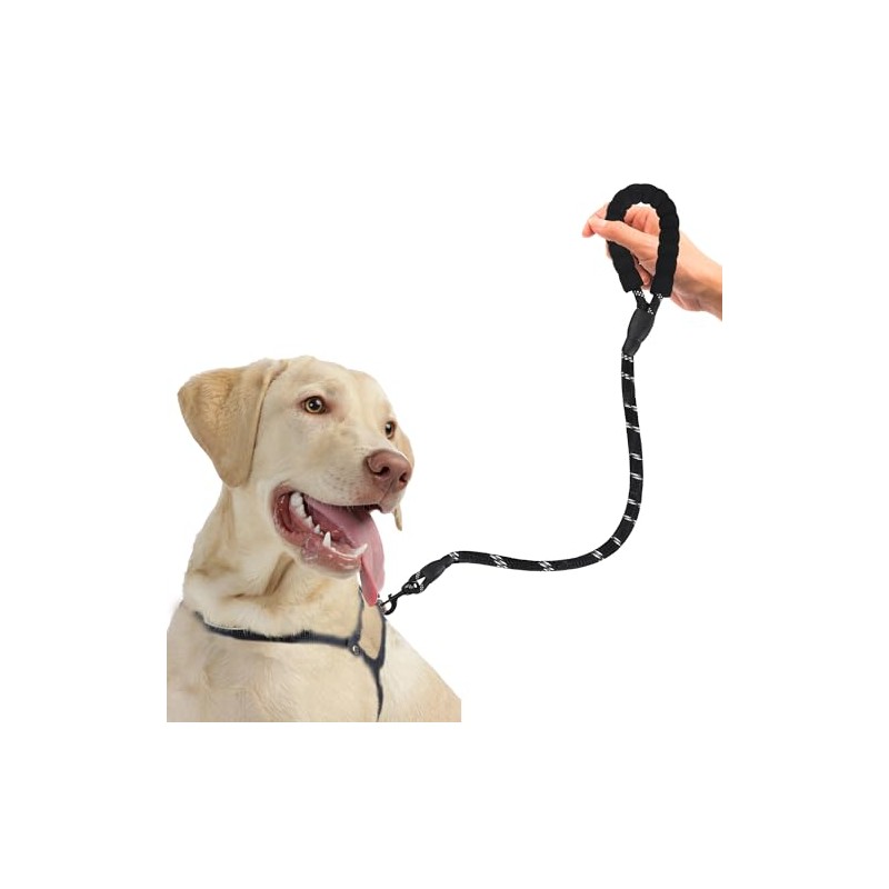 SunGrow Nylon Dog Leash, Pet Training Tool with Padded Handle