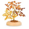 Serafino Genuine Luxury Amber Tree of Happiness Good Luck Good