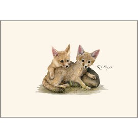 Earth Sky + Water - Kit Foxes Notecard Set - 8 Blank Cards with Envelopes