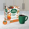 Green Mountain Coffee Roasters Pumpkin Spice Coffee, Keurig Single-Serve K-Cup