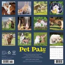 Pet Pals 2025 12" x 12" Wall Calendar
