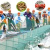 CINGHI LUSSO Foldable Crab Trap Crayfish Trap Crab Trap Fishing