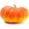 CZ Grain 20 Cinderella Pumpkin Seeds for Planting