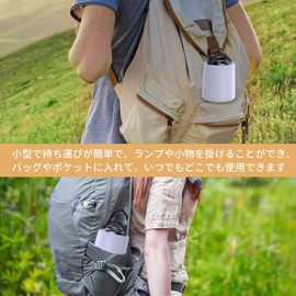 Goal Zero Carabiner, Set of 2, Lantern Hooks, Universal Gear, Lantern Accessories, Suitable for Outdoor Hanging Lights and Accessories, Lighting Attachments for Camping Lights, Lanterns, Lanterns,