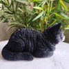 Vivid Arts Dreaming Cat Black & White Ornament – Peaceful