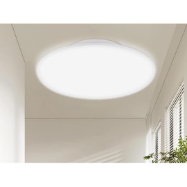 Ceiling Light, 6 Tatami, White, 4000K, LED Ceiling Light, Small, Kitchen, Mini Ceiling Light, LED Ceiling Light, Small Size, Power Consumption, 10W, Total Luminous Flux, 2,000 LM, Living Room, Hanging