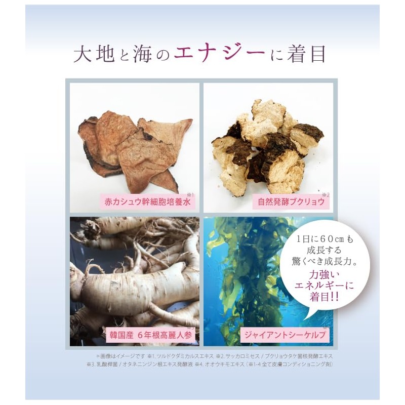 Saimdan Premium Super STEM CMC Shampoo Refill Only