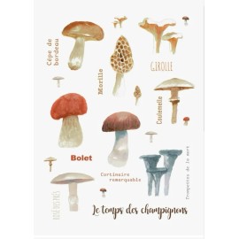 MAISON LORRAIN, "Le Temps de Champignons" French Cotton Kitchen / Tea Towel, New