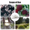 4 x Replacement Spring for Secateurs, Stainless Steel Garden Shears
