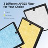 XBWW 2 Packs AP303 304 Replacement Filter Compatible with DAYETTE