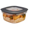 Rubbermaid Premier Easy Find Lids 5-Cup Meal Prep and Food