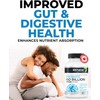 Renew Actives RENEW ACTIVES Probiotic Supplement for Digestive Health 60