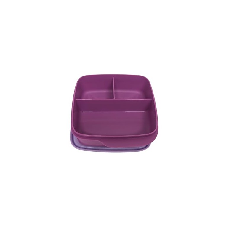 Tupperware to Go Lunch Box Clever Break 550 ml Lunch