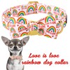 Unique style paws Pride Day Rainbow Dog Collar, Love is