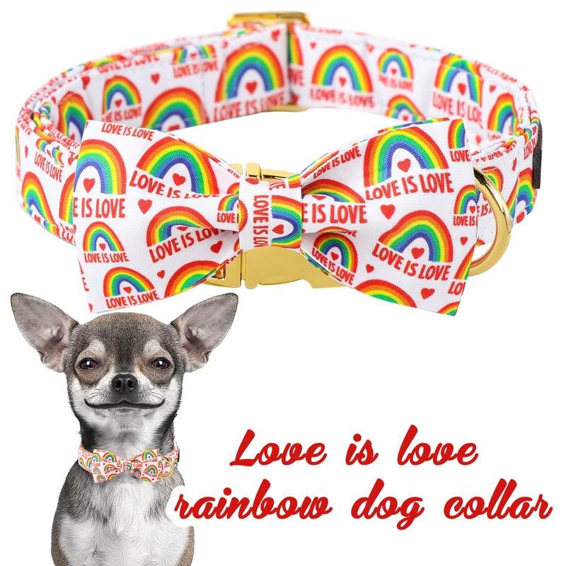 Unique style paws Pride Day Rainbow Dog Collar, Love is