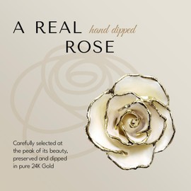 Forever Rose 24K Gold Dipped White Pearl Rose, The June Birthstone, A Unique & Everlasting Real White Pearl 24k Gold Dipped Rose, Hand Dipped, 11" to 12", with Elegant Clear Glass Bud Vase