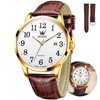 OLEVS Mens Leather Watch,Mens Watches Leather Band Easy to Read,Business