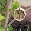 ANCLLO Handmade Natural Bamboo Bee Hive Mason Bee House Tubes