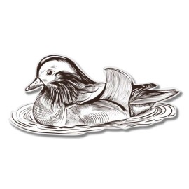 AK Wall Art Duck Beautiful Hand Drawn Car Laptop Phone Vinyl Sticker  - SELECT SIZE - (C) Large: 9"