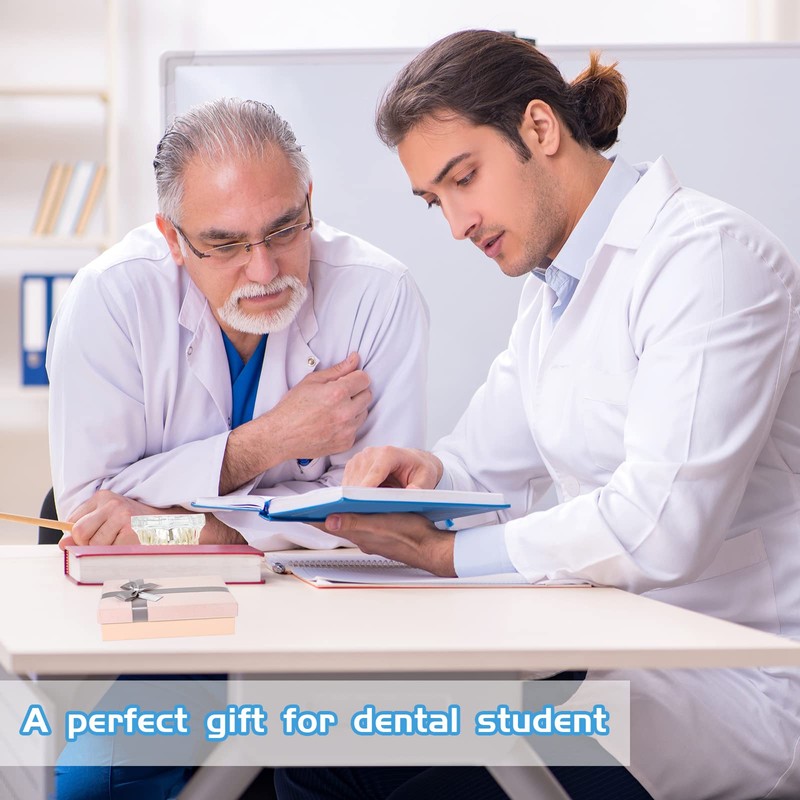 Outus Disease Teeth Model Dental Typodonts Implant Teeth Model with