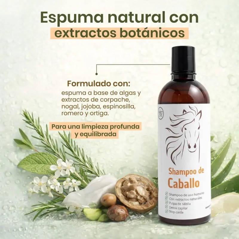 Shampoo De Caballo Extracto De Nogal Aceite Y Menta 500ml