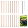 Verdanzia 20 Pcs Copper Nails for Killing Trees, Stumps &