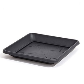Prosperplast Quadratischer Untersetzer für Blumenkübel Pflanzkübel anthrazit 17 x 17 cm Kunststoff eckig