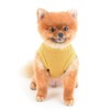 SMALLLEE_LUCKY_STORE Cute Bear Waffle Knit Tank Top Puppy T-shirt for