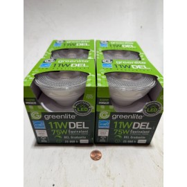 Greenlite Set Of 4! Weatherproof LED Flood Light Bulbs 11W