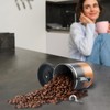 BERTILLE Stainless Steel Coffee Canister,16 oz Kitchen Food Storage Container