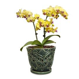 LKSSZS Orchid Pots with Holes - 6 Inch Ceramic Plant Pots, Retro Orchid Planter for Ventilation, Drainage & Root Health | Indoor/Outdoor Orchid Containers with Saucers(Green)