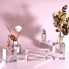 BTSKY 4 PCS Clear Polished Acrylic Cube Acrylic Square Display