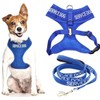 SERVICE DOG Blue Colour Coded Non Pull Padded Vest Dog Harness and Padded Lead (Small & 1.2m lead)