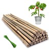 Plant Stakes,12 Inches Natural Garden Bamboo Sticks,BOVITRO 20Pcs Plant Support