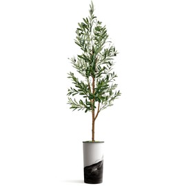 Artificial Tree in Contemporary Planter, Fake Olive Silk Tree for Indoor and Outdoor Home Decoration - 68" Overall Tall (Plant Pot Plus Tree)