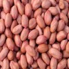 Deep AIVA - Raw Spanish Peanuts 10 lb
