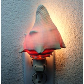 PEPPERLONELY Vole Sea Shell Night Light Nautical Natural Seashell Beach Home Décor, Shell Size 4 Inch