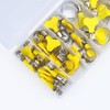 Glvaner Hose Bands, Stainless Steel, Set of 30, 5 Sizes,