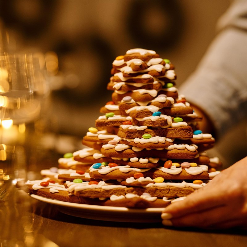 Elegauit Large Fish Shape Cookie Cutter Set Stainless Steel Baking