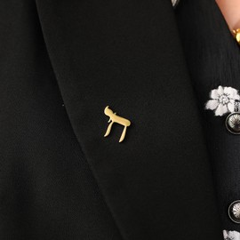 Stainless Steel Judaism Hebrew Chai Pins for Mens Religious Lucky Symbol Brooch, enamel, gem na