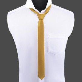Branduce 1.58" (4cm) Gold Tie for Wedding Party Silk Skinny Ties for Men Slim Necktie (TA07-11)