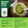 Synergy Natural Organic Barley Grass Powder 100g