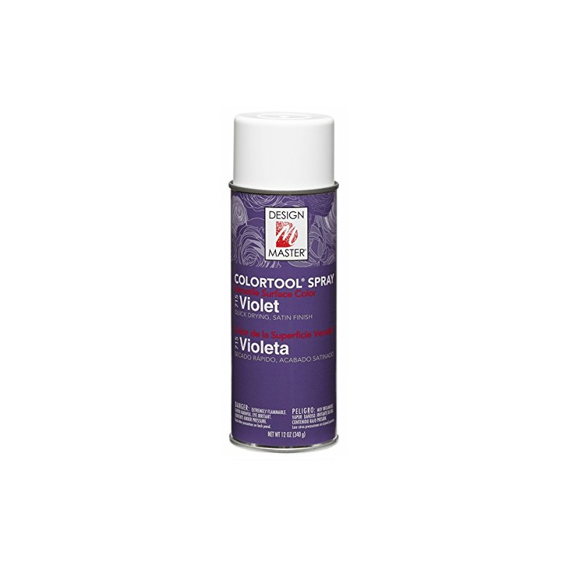 Colortool Spray Paint 12oz-Violet