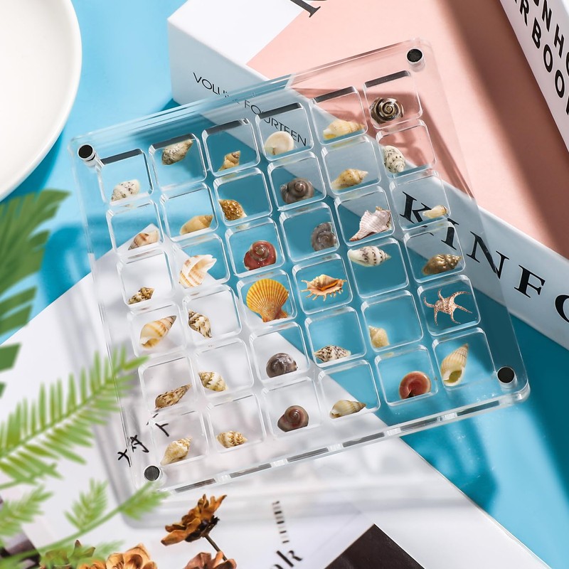 XIHIRCD Acrylic Magnetic Seashell Display Box, Clear Sea Shell Display