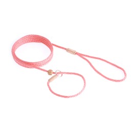 Alvalley Nylon Slip Lead with Stop for Dogs 4mm X 6ft