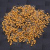 1000Pcs Ceramic Capacitor InLine Monolithic 4.7UF Pin Pitch 5.08MM DC50V