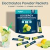 Sooergy Electrolytes Powder Packets Sugar Free Hydration Packets, Liquid Daily
