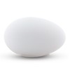 BestPysanky Blown Out Hollow Real Goose Eggshell, Empty Cleaned-Out Egg