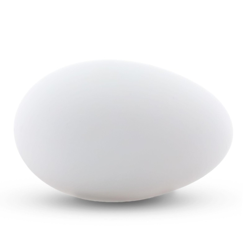 BestPysanky Blown Out Hollow Real Goose Eggshell, Empty Cleaned-Out Egg