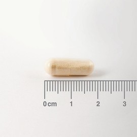 Lamberts Digestizyme 100 caps